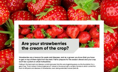 Strawberry Technote