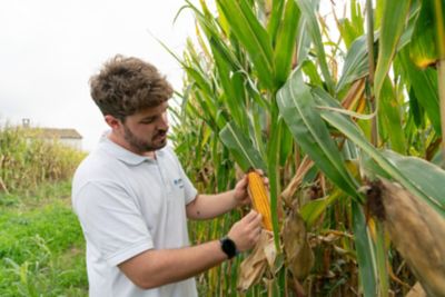crop_protection
