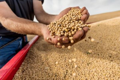 Next-level Agronomics and Yield Potential